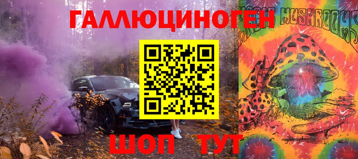 Псилоцибиновые грибы Psilocybine cubensis Когалым