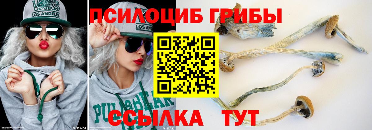 купить наркотики цена  Вход с VPN  Когалым  Галлюциногенные грибы Magic Shrooms 